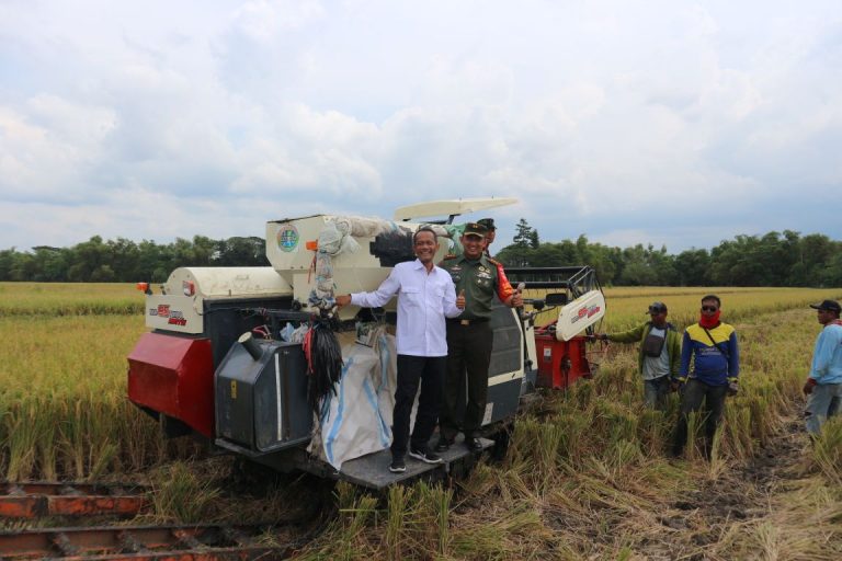 Pemerintah Terus Genjot Serapan Gabah Petani