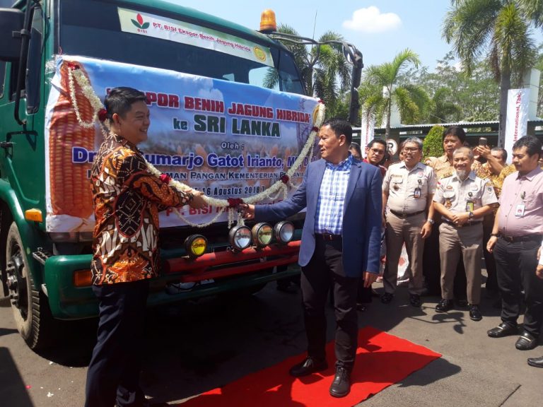 Kementan Genjot Ekspor Benih Jagung Hibrida ke Srilangka