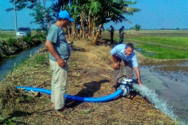 Pompanisasi, Cara Kementan Selamatkan Padi Sawah di Karawang