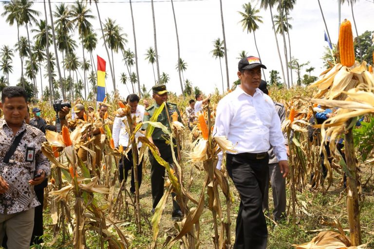 Kinerja Sektor Pertanian Wujud Implementasi Agenda Prioritas Nawacita