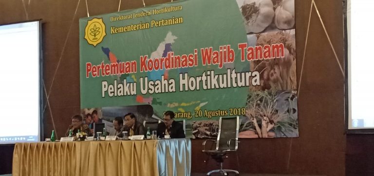 Jateng jadi Penyangga Terbesar Bawang Merah dan Cabai Nasional