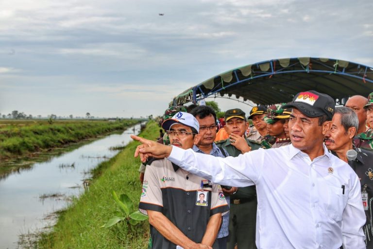 Demi Ketahanan Pangan, Kementan Serius Garap Lahan Rawa Lebak
