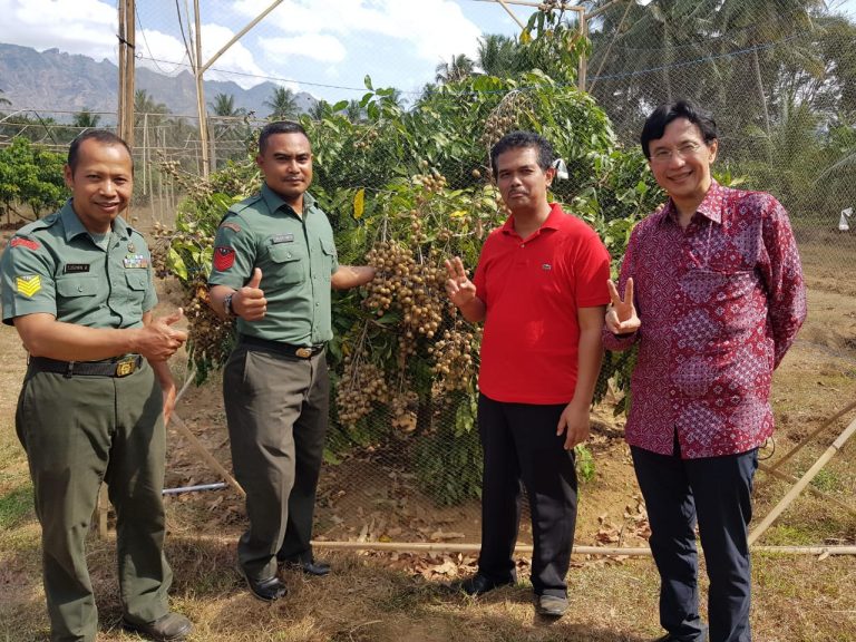 Kementan Terus Dongkrak Produksi Lengkeng