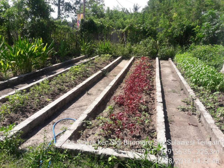 Sulteng Dukung Penuh Peningkatan Daya Saing Produk Pertanian