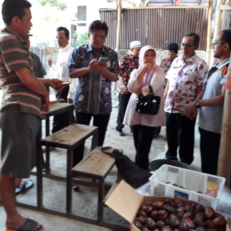 Kementan Serius Mengendalikan Lalat Buah Salak untuk Ekspor