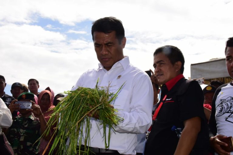 Langkah Pemerintah Jaga Ketersediaan Stok Beras di Musim Kemarau