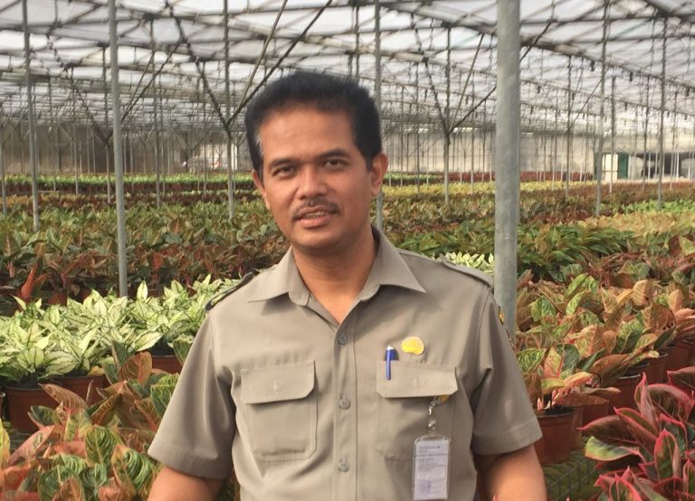 Kementan Sikat Penangkar dan Pengedar Benih Bawang Putih Palsu