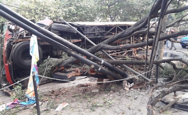Bruakk! Bus Transjakarta Tabrak Tiang Listrik dan Pohon di Patal Senayan
