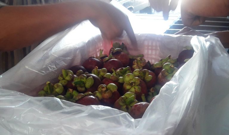 Manggis Sumbar Siap Rambah Pasar Tiongkok