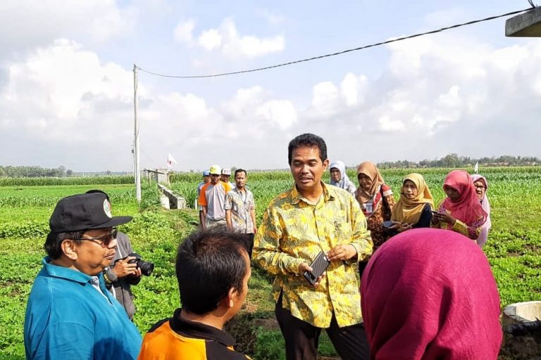 Manfaatkan Pompa Listrik Atasi Kekeringan, Petani Hemat Biaya Hingga 65 Persen