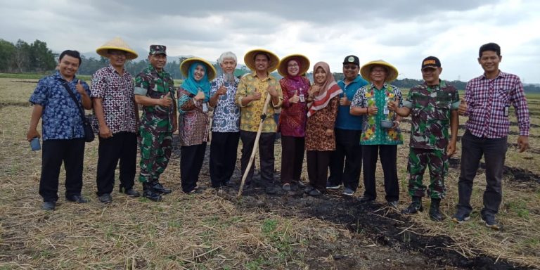 Kembangkan Sistem TABELA, Kementan Optimis Tingkatkan Produktivitas Pertanian di Kebumen