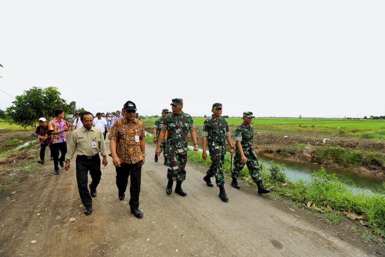 Persiapan Maksimal, Padi Rawa Siap Panen Pada Hari Pangan Sedunia 2018