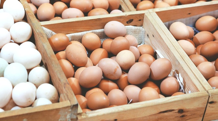  Telur  Ayam Merangkak Naik DPR Desak Pemerintah Tinjau 