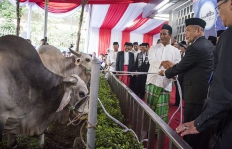 Jumlah Hewan Qurban di Istiqlal Menurun, Panitia Tiadakan Kupon
