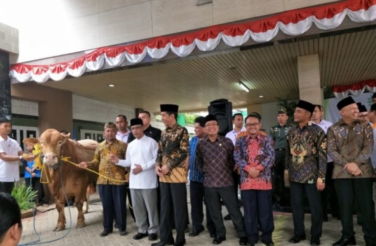 Jokowi Qurban Dua Ekor Sapi di PP Muhammadiyah