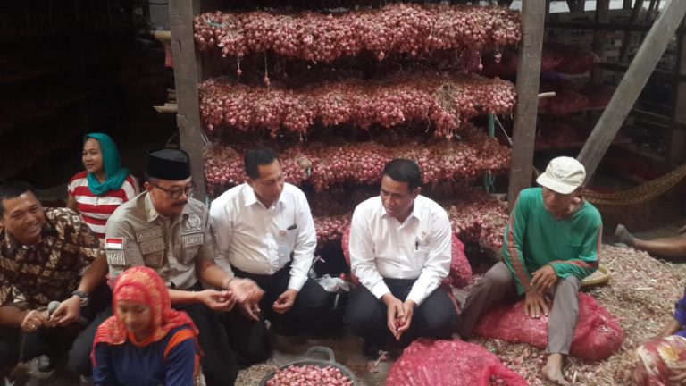 Atasi Pelemahan Rupiah Lewat Ekspor Bawang Merah