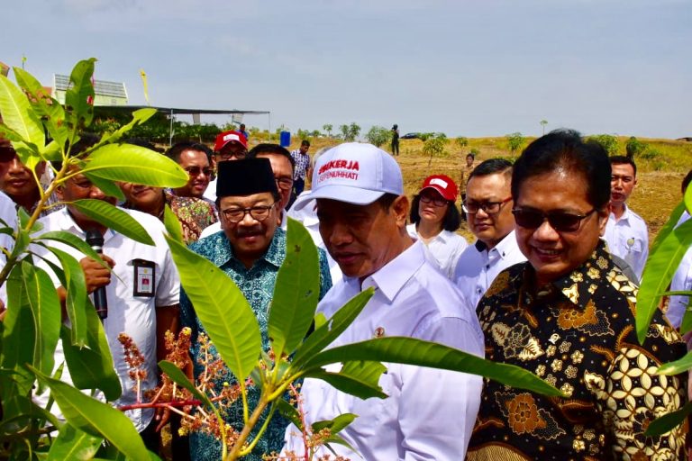 DPR Akui PDB Pertanian Triwulan II 2018 Tumbuh Tertinggi 9,93 Persen