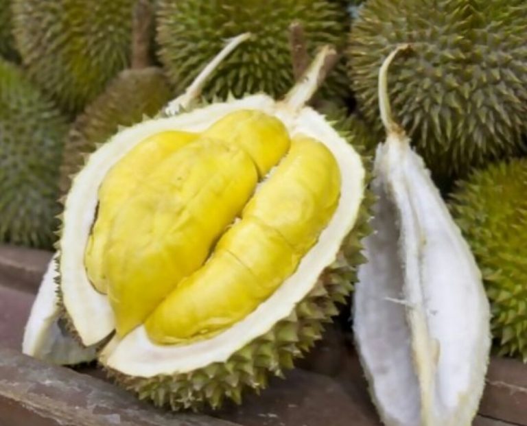 Durian Lolong Pekalogan; Si Legit dan Gurih yang Siap Menggempur Pasar