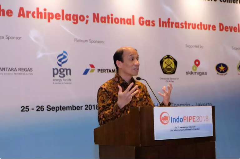 Arcandra Petakan Tantangan Pengembangan Bisnis Gas di Indonesia