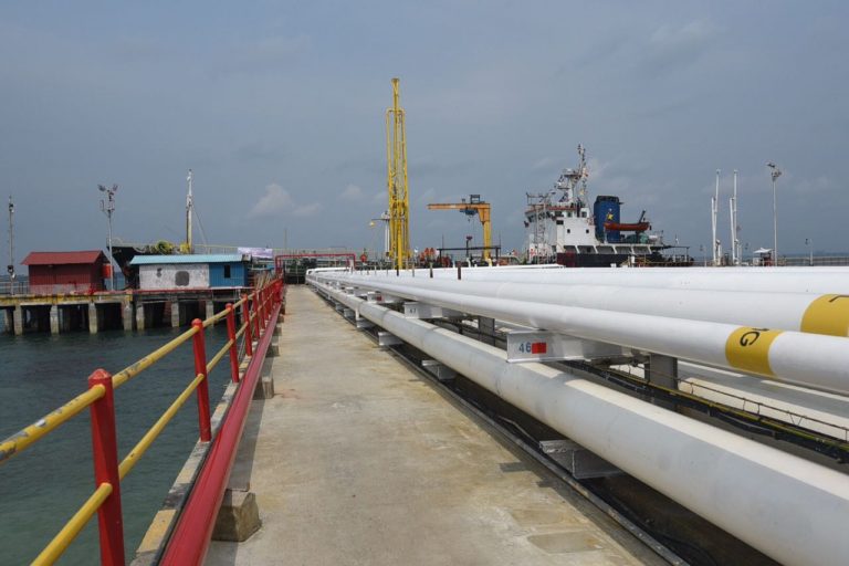 Kinerja Pertamina Realisasikan B20 Tuai Apresiasi dari Pemerintah