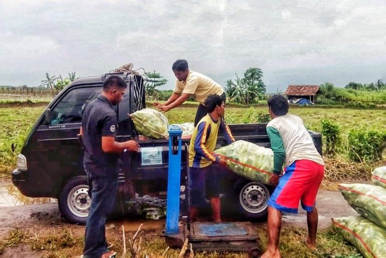 Kementan Sukses Kembangkan Lahan Kering di Banten