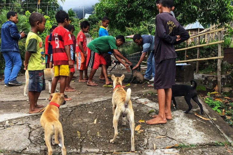 Gerak Cepat Kementan Kendalikan Penyakit Rabies di NTT