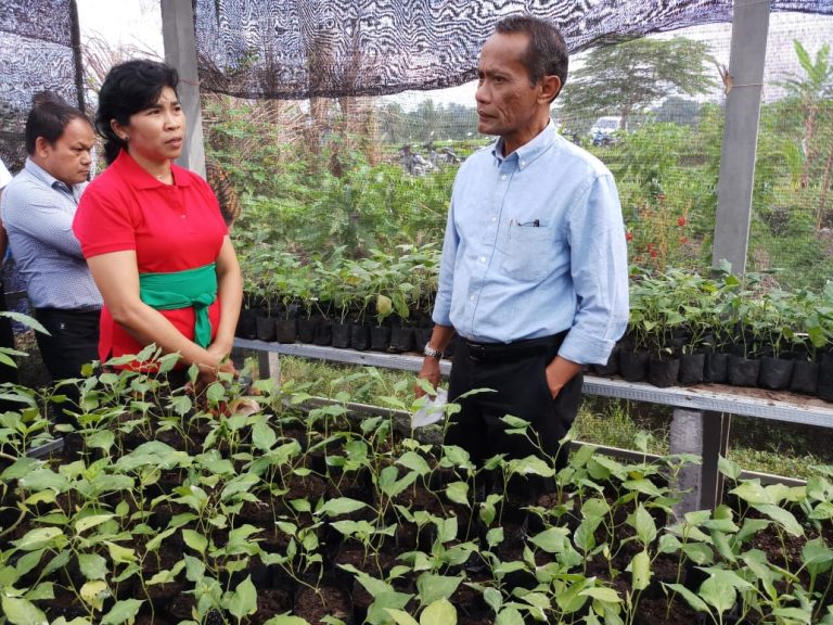 KRPL Kementan Mampu Penuhi Kebutuhan Pangan dan Kesejahteraan Keluarga