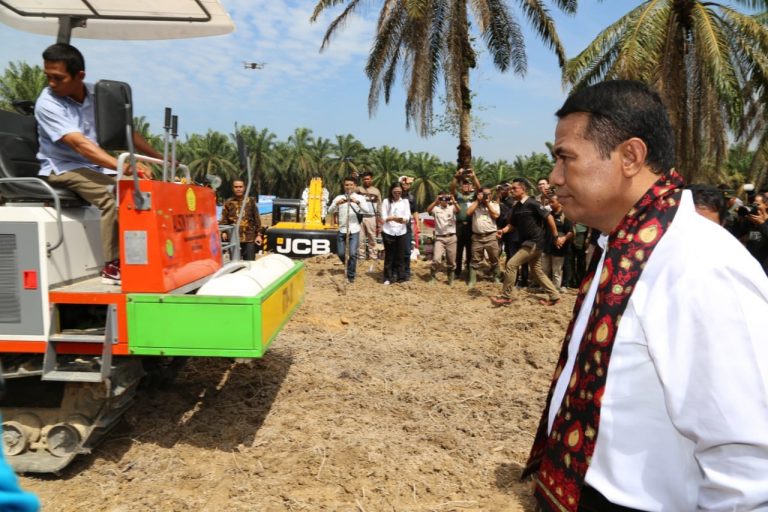 Pemerintah dorong Peremajaan Sawit Rakyat untuk Hasilkan Devisa