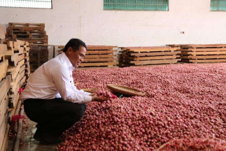 Pasokan Meningkat, Harga Cabai dan Bawang Turun