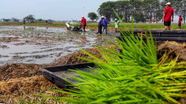 Kementan Dukung Program Kewirausahaan Petani Muda