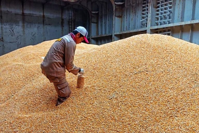 Upaya Kementan Sudahi Polemik Impor Jagung