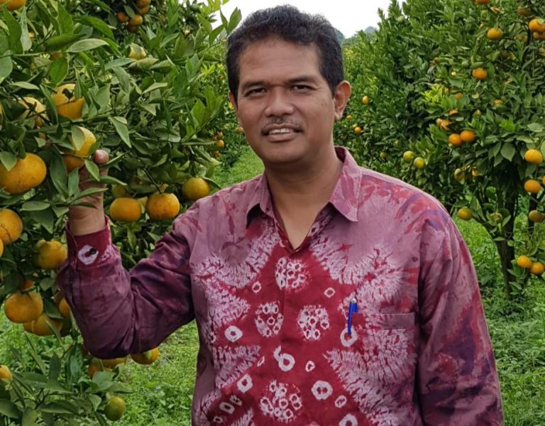 Pangan Lokal Bermanfaat untuk Stamina Tubuh, Nilai Impor Buah Turun