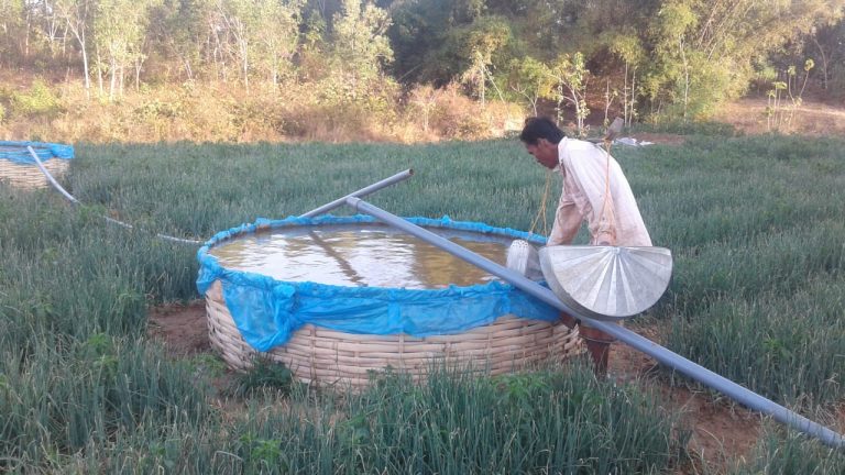 Mensiasati Kekeringan dengan “Lombheung”