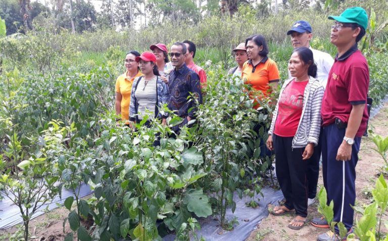 BKP Kementan Optimis Kawasan Mandiri Pangan dapat Mengentaskan Kemiskinan