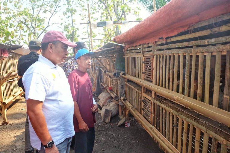 Program Bekerja Kementan Beri Harapan Baru Pengentasan Kemiskinan di Brebes