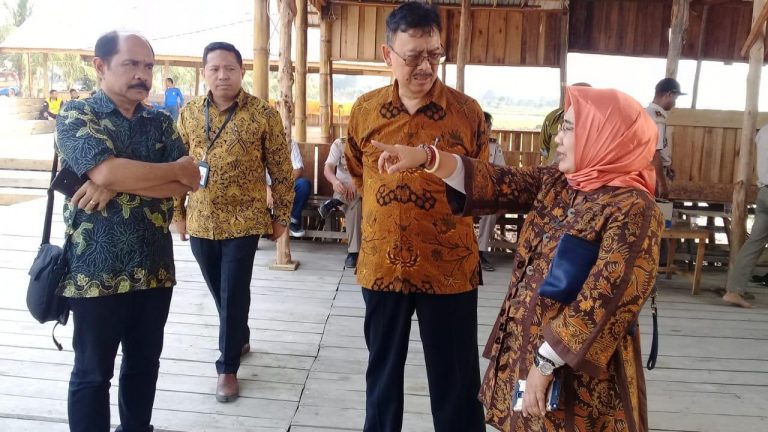 Kementan Pastikan Persiapan Final Hari Pangan Sedunia di Kalsel