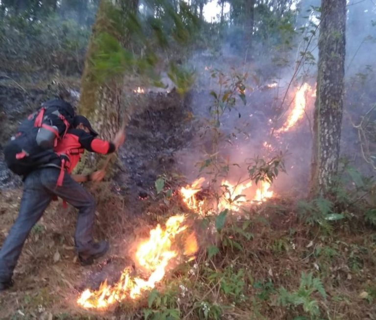 516 Pendaki Gunung Sumbing Selamat dari Amukan si Jago Merah
