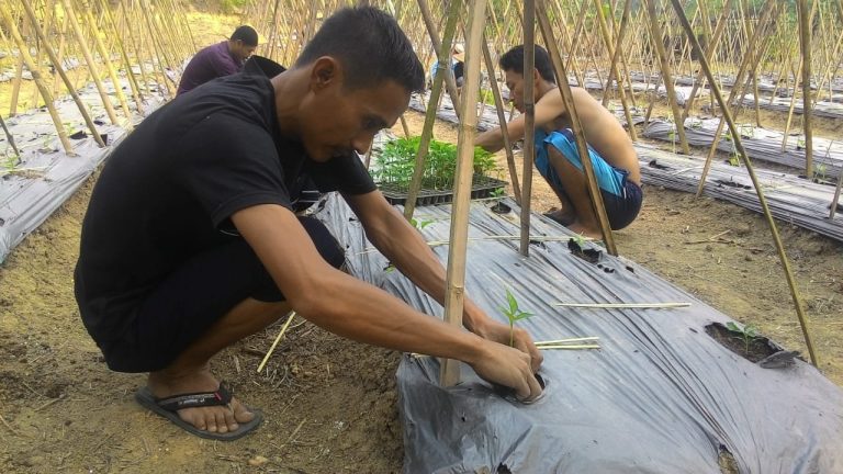 Pondok Asimilasi Rutan Rangkasbitung Diharapkan Jadi Agrowisata