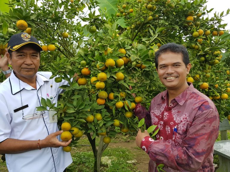 Kementan Dorong Pengembangan Cluster Kawasan Jeruk di Bali