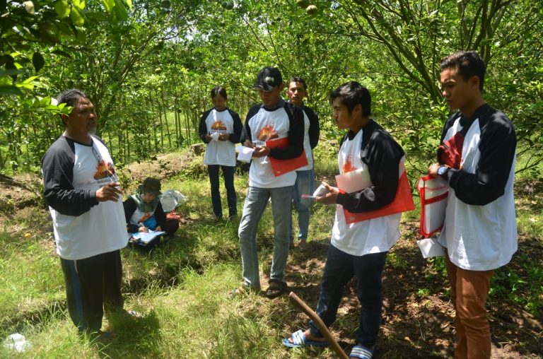 Teknologi Bujangseta Untungkan Petani Jeruk Panen Berkali-kali