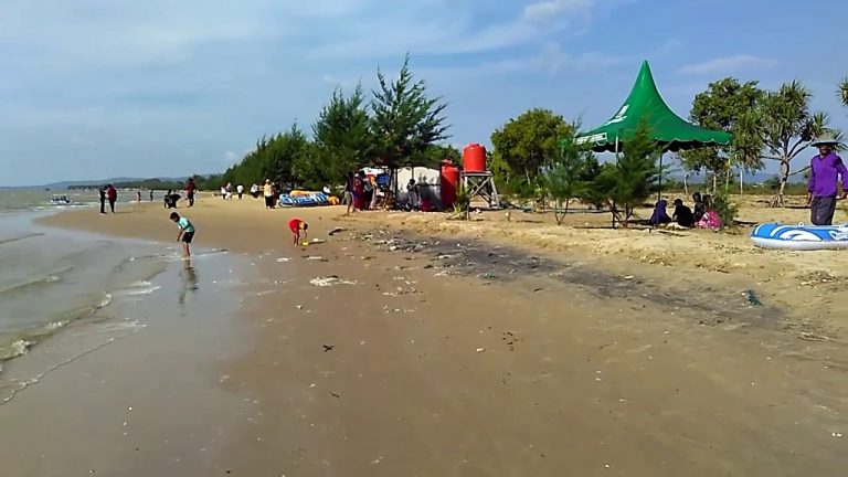 Pertamina Bersihkan Pantai Nyamplung Ragas