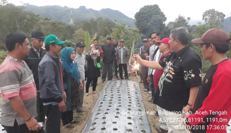 Petani Aceh Kembali Bangkit Tanam Bawang Putih