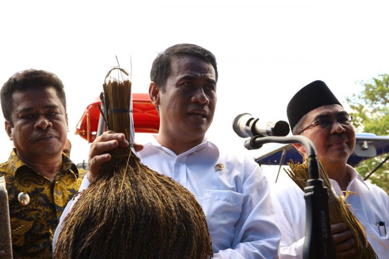 Wagub Jabar Usul Mentan Amran Didaulat Jadi Bapak Santri Nasional, Ini Alasannya