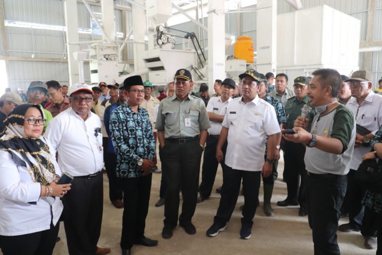 Kementan Optimalkan Lahan Rawa Pasang Surut dengan Bioindustri Padi Terpadu
