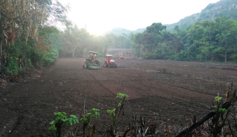 Kabupaten Tanah Laut Siap Optimalkan Tanaman Padi