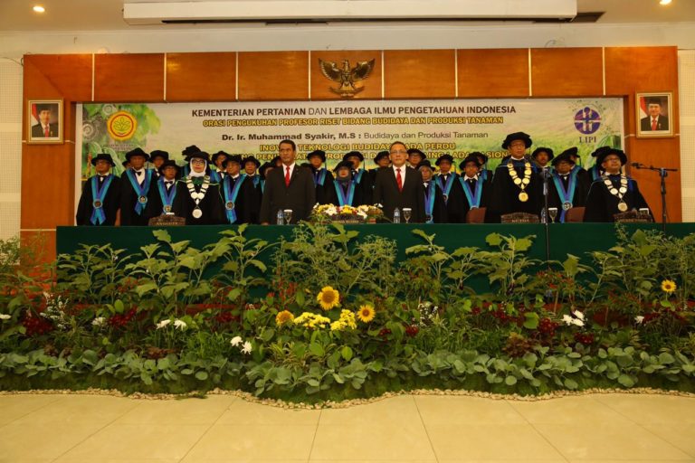 Gagas Inovasi Budidaya Lada Perdu, Kementan Targetkan Jadi Produsen Lada Nomor Satu di Dunia