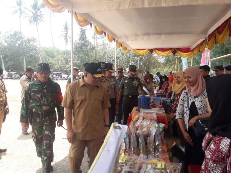 Wagub DIY Tinjau Pasar Murah Dadakan PKK Desa Balecatur