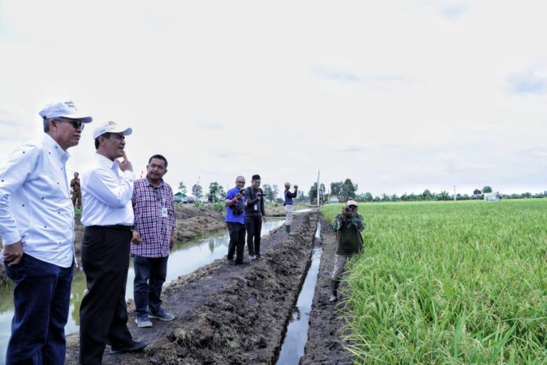 Cek Kesiapan HPS 38, Mentan Amran: Lahan Rawa Obat Paceklik