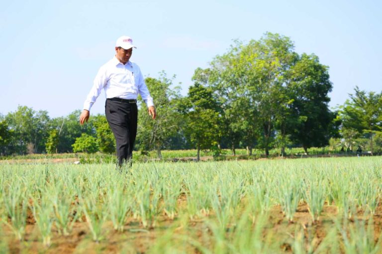 Optimalisasi Lahan Rawa, Kementan Ekspos Pekan Pertanian Rawa Nasional