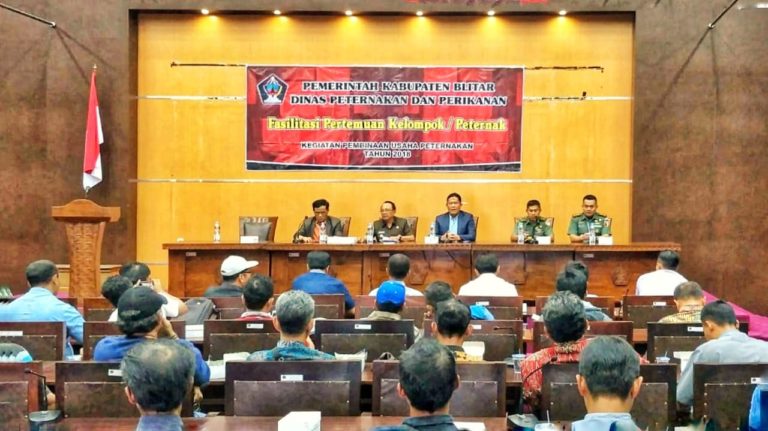 Ini Respon dan Solusi Pemerintah atas Aspirasi Peternak Ayam Petelur
